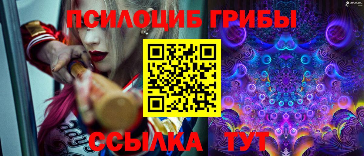 Галлюциногенные грибы прущие грибы  Вход с VPN  наркошоп  Краснотурьинск 
