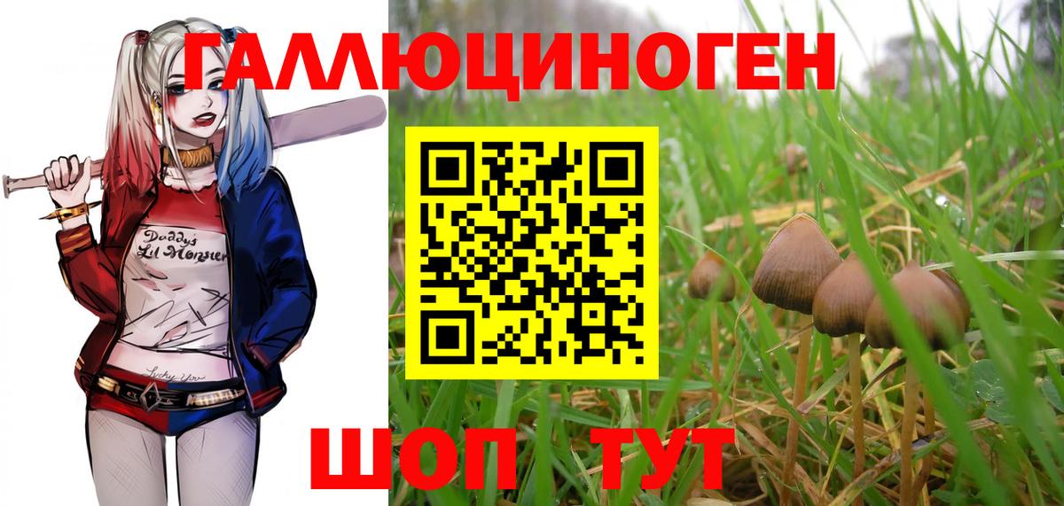 Галлюциногенные грибы мухоморы Краснотурьинск